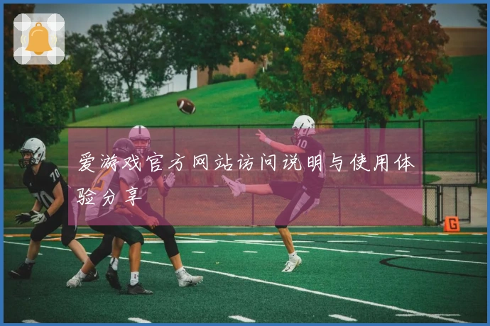 爱游戏官方网站访问说明与使用体验分享