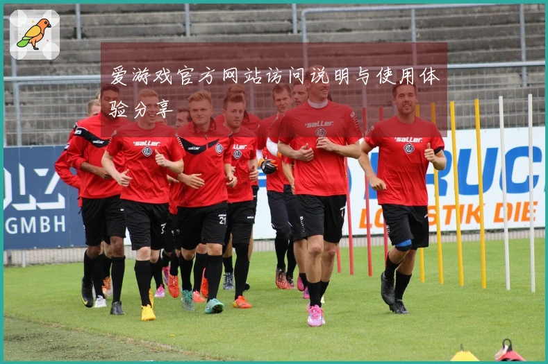 爱游戏官方网站访问说明与使用体验分享